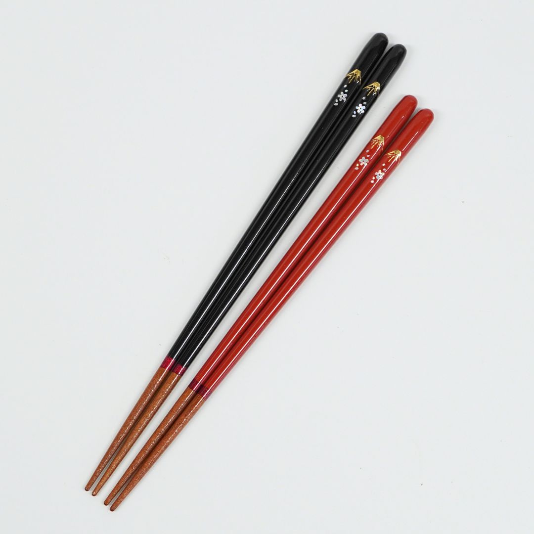 食洗 桜富士  (23cm/21.5cm)