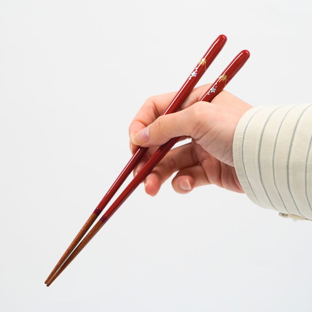食洗 桜富士  (23cm/21.5cm)