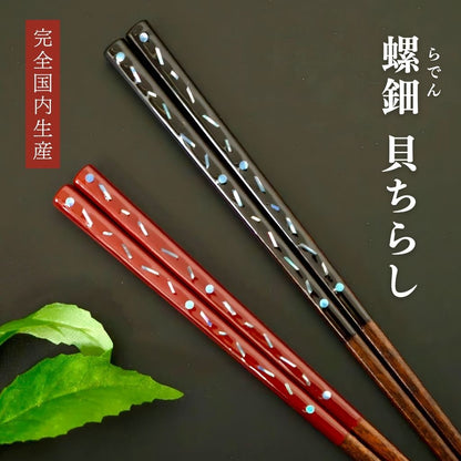 越前 貝ちらし 箸（23cm）