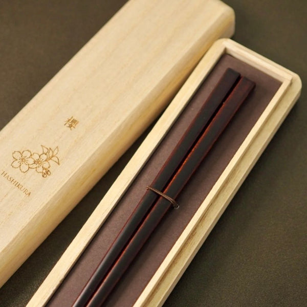 若狭 箸 櫻（21cm）