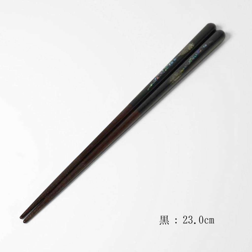 若狭 箸 九頭竜（21cm/23cm）